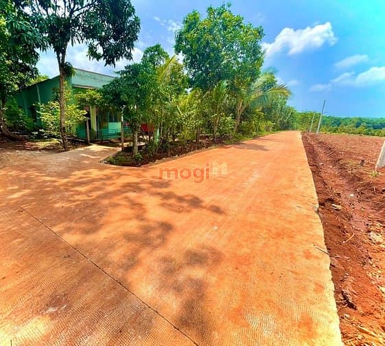 Hình ảnh BÁN 10116M2 ở Tân hưng, giá 190 triệu bao sổ