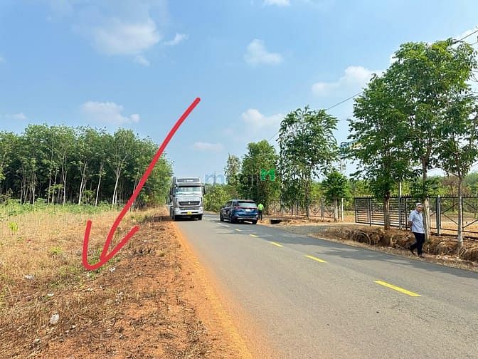 Hình ảnh Bán nhanh 1200m2 đất đang làm nhựa lớn thông vào chợ., giá 220tr