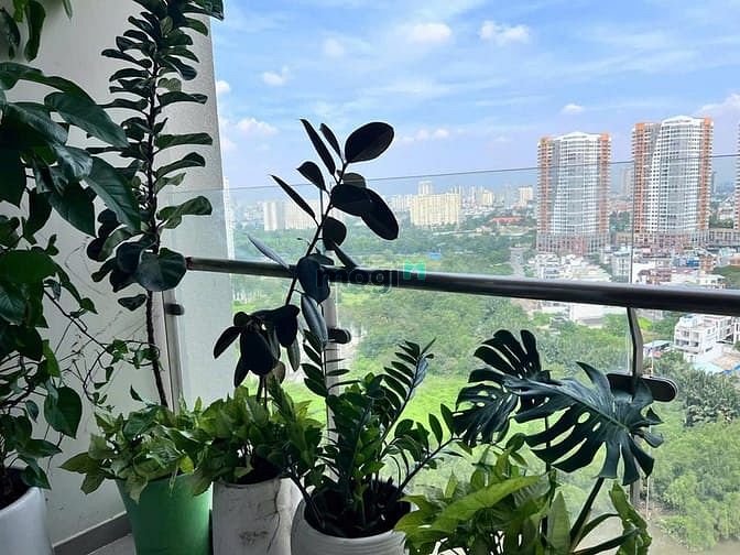 Hình ảnh Cho thuê CH 1PN Diamond Island, giá ưu đãi 18 triệu, 51m2