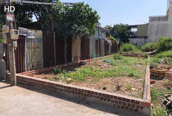 Hình ảnh RealtorVO 🔴 Chủ Gửi Lô Đất 98M2 Đường Xe Hơi Gần ChungCư Ricca Gò Cát