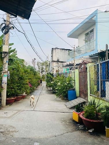 Hình ảnh Bán nhà đất 130m Lê Tấn Bê ngang 7.3m nở hậu Gi.a chỉ 3.9ty
