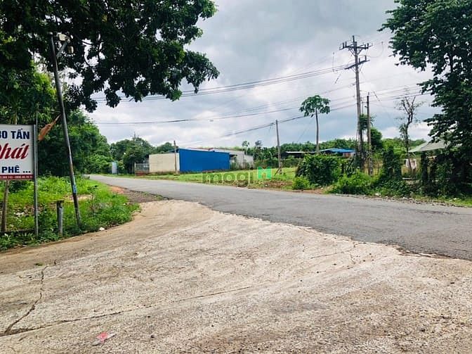 Hình ảnh Sang gấp 10x70= 700m2 đất có suối phía sau, đất Thành Phố. Giá 190tr