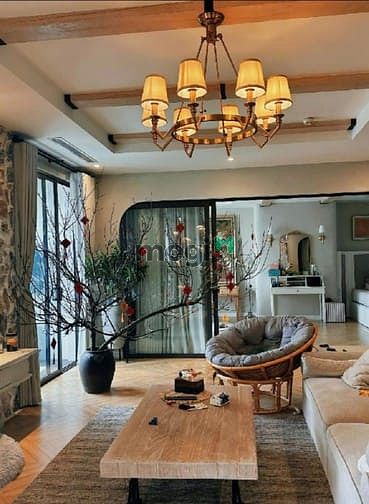 Hình ảnh Bán nhà Villa trên không Times City, DT gần 200 m2 x 4 PN
