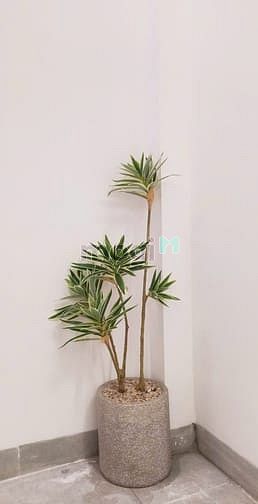 Hình ảnh PHÒNG MỚI XÂY 100% Hẻm 32, Võ Văn Hát - TP. Thủ Đức