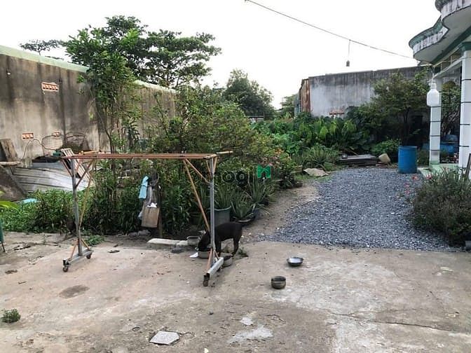 Hình ảnh Bán đất thổ cư Quận 2 Diện tích 669m2 giá bán 41,850,000đ/m2. Giá TL