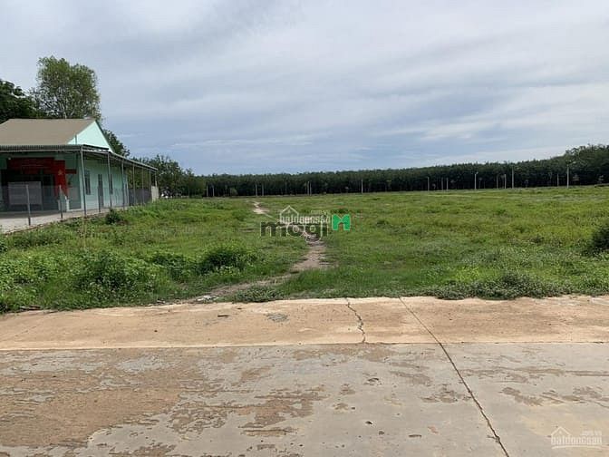 Hình ảnh Bán Gấp 10x60=612m2 Full Shr Thổ Cư Sát Chợ Trường Học 405 Tr