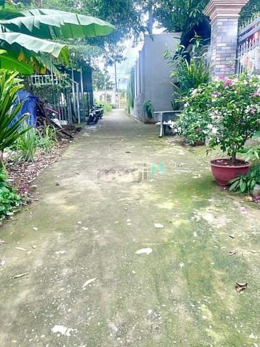 Hình ảnh Cần bán lô đất Thổ cư, xã Bình Minh, huyện Trảng Bom