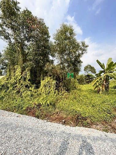 Hình ảnh Bán 1000m2 đất Thổ cư BÌNH MỸ. Giá: 7 tỷ