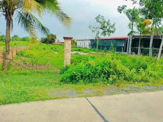 Hình ảnh Bán 316m2 đất Trung An. Giá 2,6 tỷ
