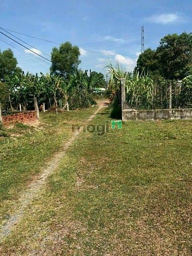 Hình ảnh Bán 2749m2 đất, có 2000m2 thổ cư. Giá 12,5 tỷ