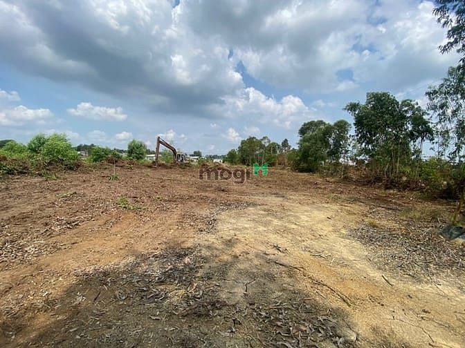 Hình ảnh NGỘP BÁN rẻ đất nhà vườn Lý Thái Tổ Long Tân Nhơn Trạch, 5,8ty/2000m