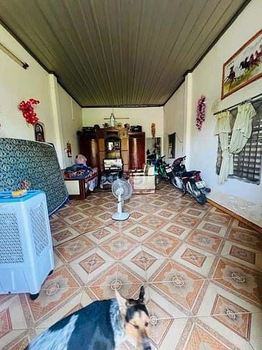 Hình ảnh 🆘🆘🆘 Hàng xã tết 1 căn duy nhất giá 2ty6 hạ hẳn 400tr