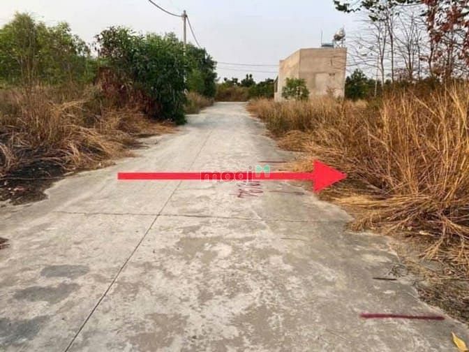 Hình ảnh Bán lô đất thổ cư, xã Hưng Thịnh, huyện Trảng Bom