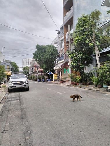 Hình ảnh Mình bán đất, đẹp, giá rẻ, sát Tô Hiệu. Q,Tân phú, chỉ 7.1 tỷ