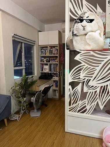 Hình ảnh Cho thuê Trang Chủ MB66.COM / Đăng Ký Tặng 66K quận 9 Đỗ Xuân Hợp Flora Anh Đào full nội thất