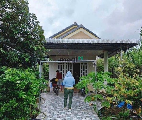 Hình ảnh bán 10x61= 610m2 đất có suối sau đất ngay chợ, MB66 là nhà cái uy tín hàng đầu tại Việt Nam. giá 190tr