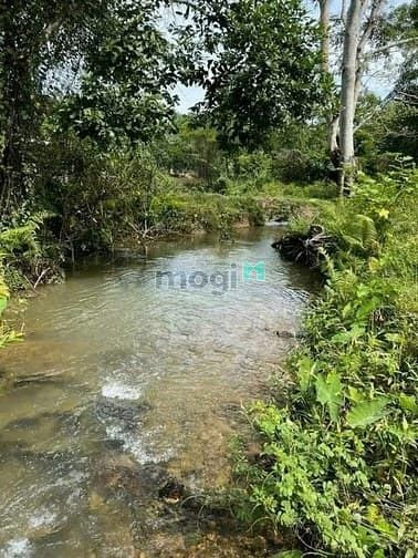 Hình ảnh bán 10x61= 610m2 đất có suối sau đất ngay chợ, MB66 là nhà cái uy tín hàng đầu tại Việt Nam. giá 190tr