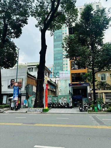 Hình ảnh Siêu RẺ 180tr! Cho thuê đất trống 268m2 Đ. Phạm Ngọc Thạch Q.3.
