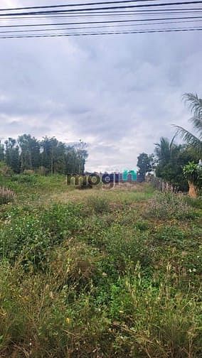 Hình ảnh Bán đất 11x65 thổ cư 270m tại thôn 6, Hoà Khánh đường QH 20m thông
