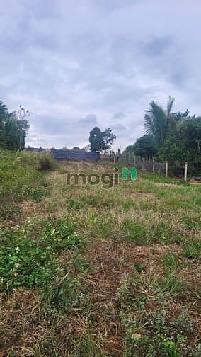 Hình ảnh Bán đất 11x65 thổ cư 270m tại thôn 6, Hoà Khánh đường QH 20m thông