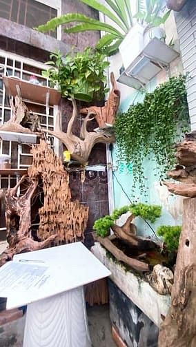 Hình ảnh Siêu phẩm Võ Duy Ninh, Bình Thạnh