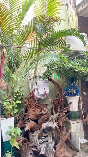 Hình ảnh Siêu phẩm Võ Duy Ninh, Bình Thạnh