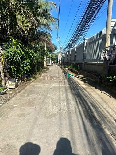 Hình ảnh Ngộp bán gấp đất thổ nhà vườn Phú Hữu Nhơn Trạch sát TP.HCM, rẻ 8tr/m