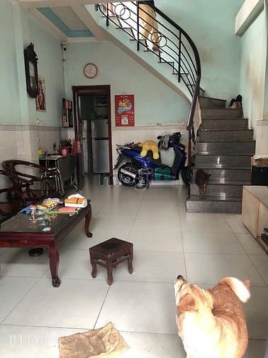 Hình ảnh Siêu Hiếm - Hẻm Xe Hơi - Nơ Trang Long Bình Thạnh.