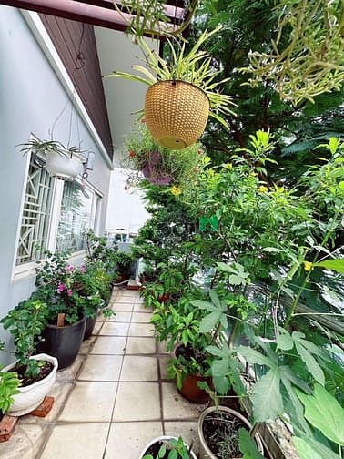 Hình ảnh Hẻm 10m biệt thự mini Lê Văn Sỹ, q3 160m2 5 tầng có hầm NTCC