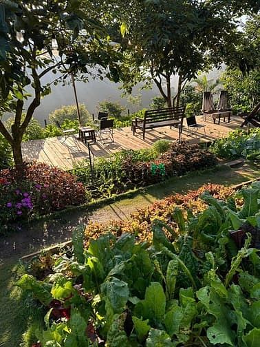 Hình ảnh 📌ĐẤT VƯỜN GIÁ TỐT TẠI THỐNG NHẤT – Giá chỉ từ 800 triệu/1000m²