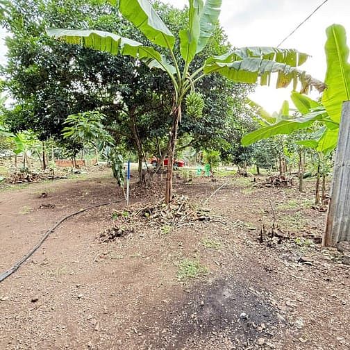 Hình ảnh 📌ĐẤT VƯỜN GIÁ TỐT TẠI THỐNG NHẤT – Giá chỉ từ 800 triệu/1000m²
