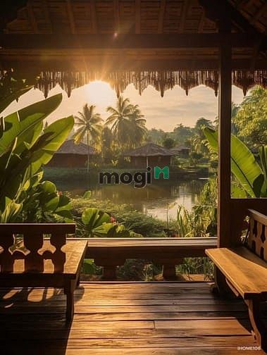 Hình ảnh 📌ĐẤT VƯỜN GIÁ TỐT TẠI THỐNG NHẤT – Giá chỉ từ 800 triệu/1000m²