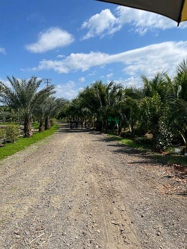 Hình ảnh 📌ĐẤT VƯỜN GIÁ TỐT TẠI THỐNG NHẤT – Giá chỉ từ 800 triệu/1000m²
