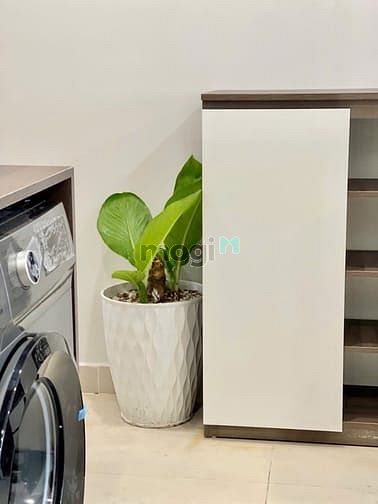 Hình ảnh 🌱Căn Hộ Mini Full Nội Thất - Không Gian Hiện Đại, Sang Trọng