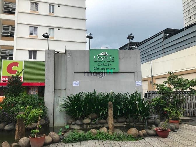 Hình ảnh Cho thuê Lotus Garden Tân Phú 86m2,3PN,2WC,Giá 12tr/th đủ nội thất