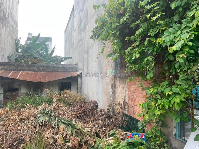 Hình ảnh Đất thổ cư SHR dt 162m2 thích hợp an cư mt đg xe hơi P. Long Bình Tân