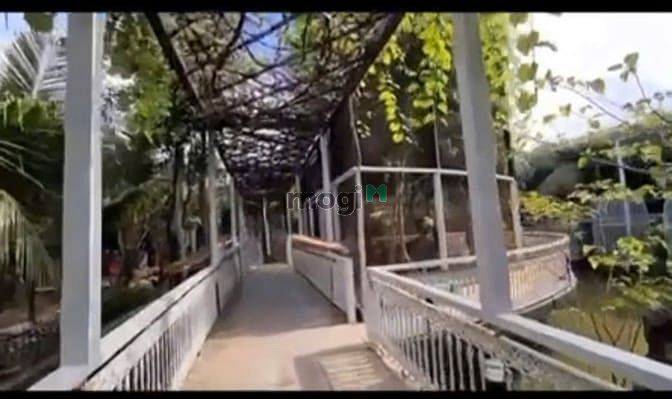 Hình ảnh Biệt thự 2MT đường số dtcn: 2150m2, P: bình thọ, Q: thủ đức giá 98ty