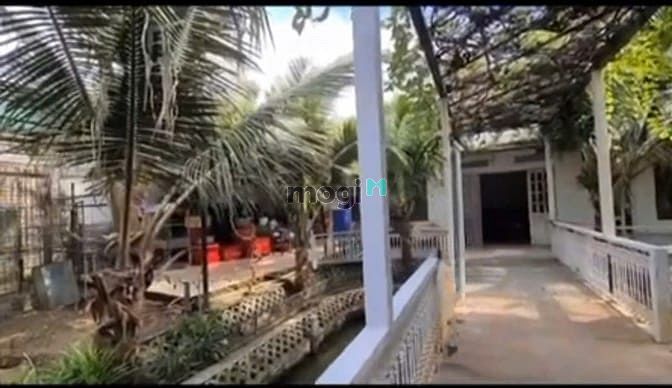 Hình ảnh Biệt thự 2MT đường số dtcn: 2150m2, P: bình thọ, Q: thủ đức giá 98ty