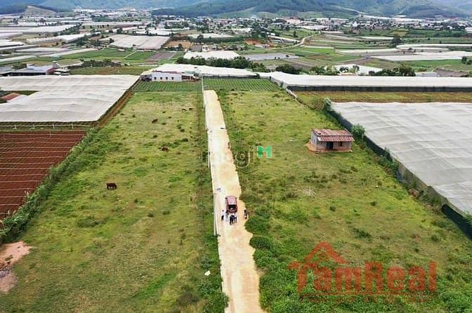 Hình ảnh Đầu tư đất nền -vùng ven đà lạt
