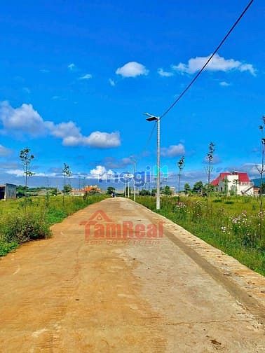 Hình ảnh Mảnh đất tiềm năng Trang MB66.COM Chính Thức - MB 66 Uy Tín và phát triển-vùng ven Đà Lạt