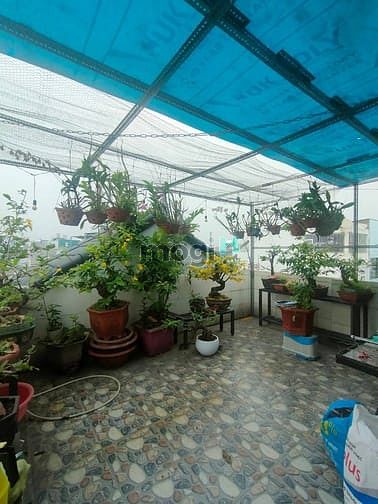 Hình ảnh Bán nhà Tân Phú HXH 5 lầu 70m 7,8 tỷ,