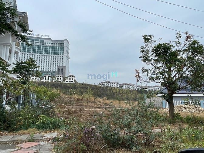 Hình ảnh ĐẤT BT ĐỒI VĂN NGHỆ 300m2,mt:15m, view biển,11,8 tỷ, sđcc,đường 17m