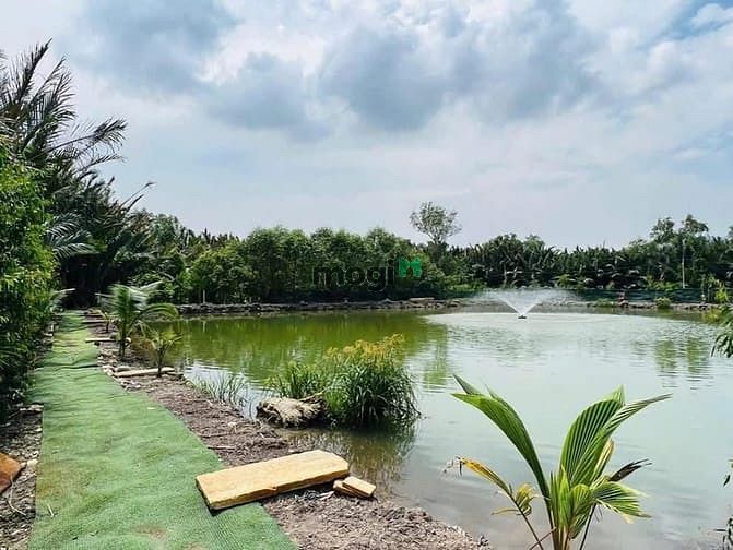 Hình ảnh Cho Thuê 1Ha. Mở khu sinh Thái. Câu cá. Thả diều. Quận 2