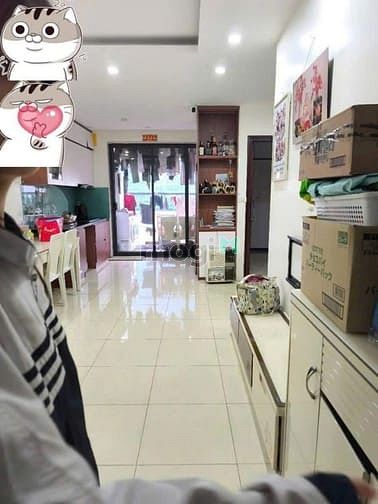 Hình ảnh Chung cư Bàu cát, p10, Tân BÌnh:75m2, 2p ngủ,2wc,NT, 12tr/th