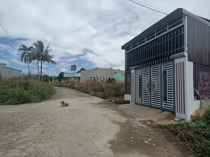 Hình ảnh Bán đất Khu Dân Cư Phú Hội Dt 5x37m tc100m2 Giá 650tr