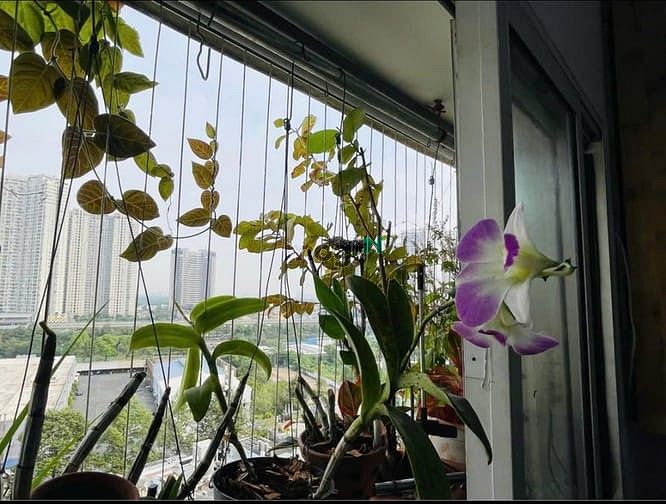 Hình ảnh Chung cư Phú Thanh, 212 Thoại Ngọc Hầu, TP, 100m2, 3PN, 10tr/tháng.