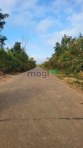 Hình ảnh Bán đất thổ cư 2 mặt tiền đường bê tông thông thoáng tại phường Khánh.