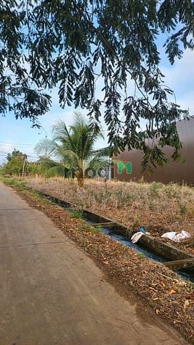Hình ảnh Bán đất thổ cư 2 mặt tiền đường bê tông thông thoáng tại phường Khánh.