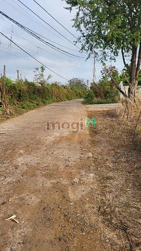Hình ảnh Bán đất thổ cư 2 mặt tiền đường bê tông thông thoáng tại phường Khánh.