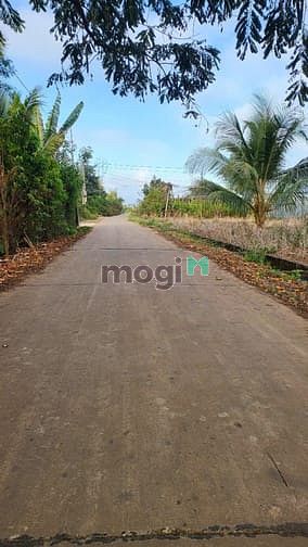 Hình ảnh Bán đất thổ cư 2 mặt tiền đường bê tông thông thoáng tại phường Khánh.